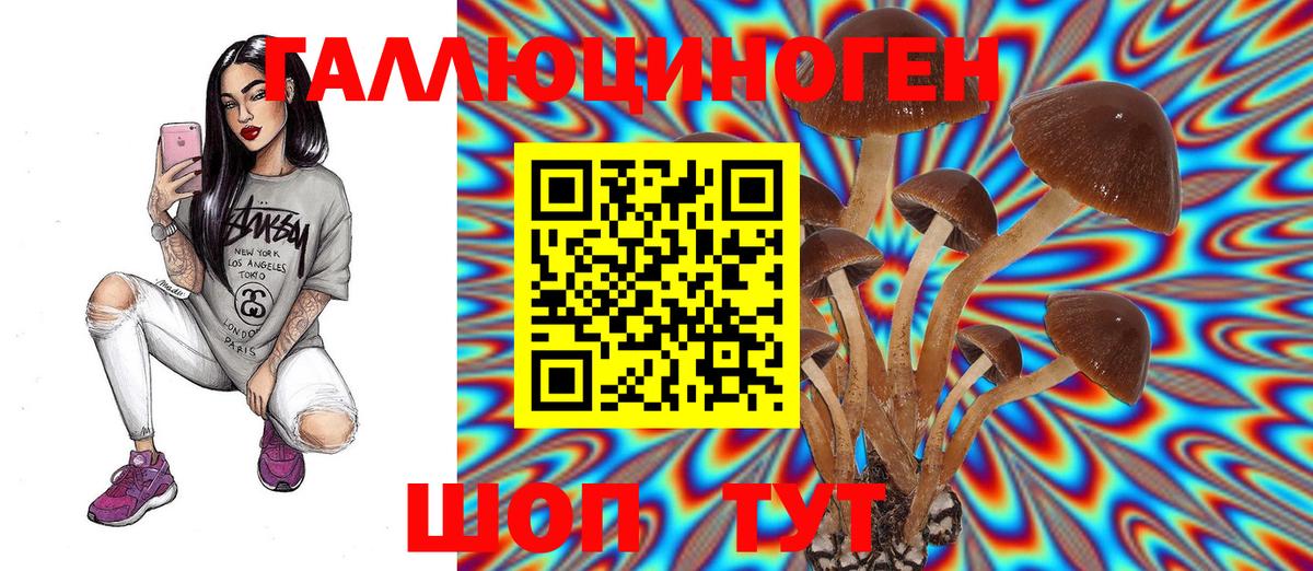 Галлюциногенные грибы Psilocybe Лесозаводск