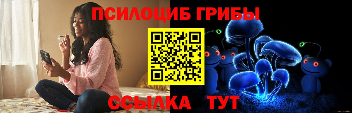 Галлюциногенные грибы Cubensis  Вход с VPN  Лесозаводск 