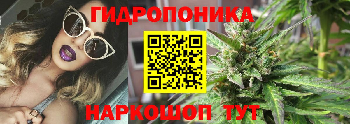 Шишки марихуана марихуана  Шишки марихуана тримм  Лесозаводск  МАРИХУАНА индика  Марихуана ГИДРОПОН  Вход с VPN 
